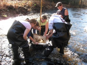 Killingly VoAg students monitor for stream-living critters. Photo by K. Couture.