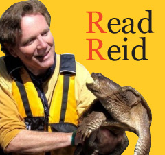 ReadReid