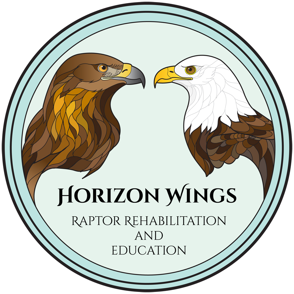 Horizon Wings, Inc