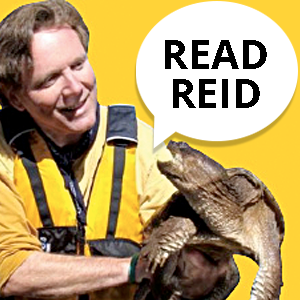 ReadReid-new
