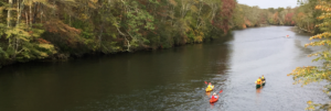 A few kayakers paddle upstream