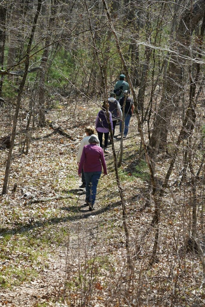 A group of hikers walk through the woods