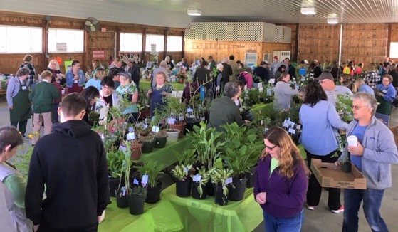 Plant Sale Crowd