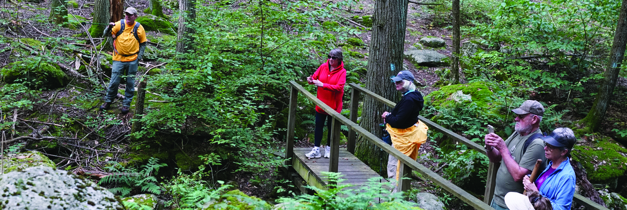 Walktober Explorations at Natchaug State Forest