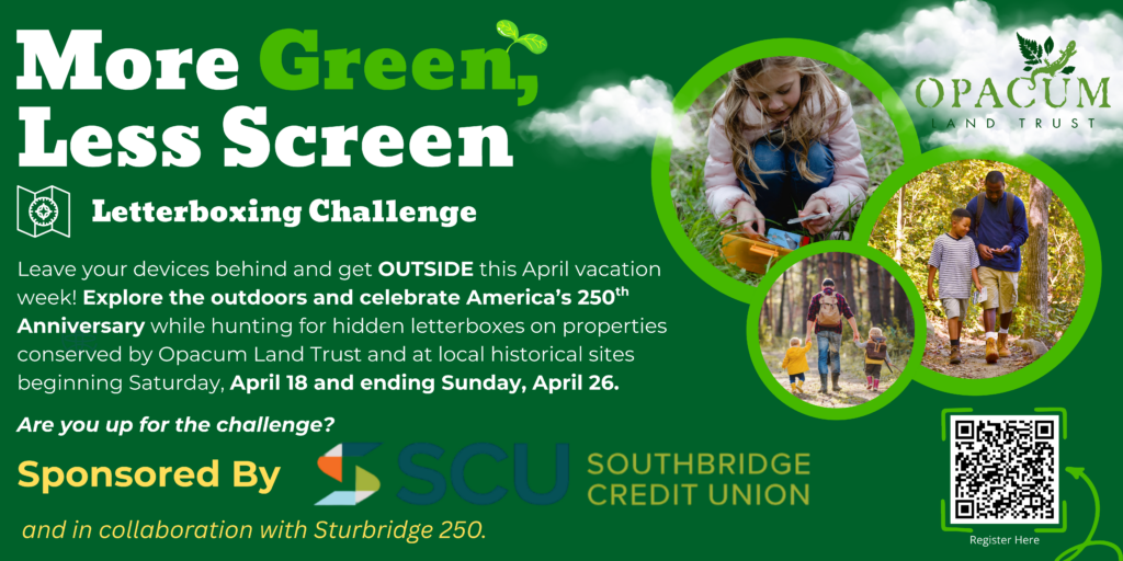 More Green, Less Screen 2026 (1)